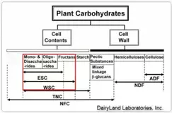 dairyland-wsc-esc-starch-analysis.webp