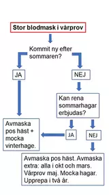 flödesschema-stor-blodmask-eol-sept-2022.webp