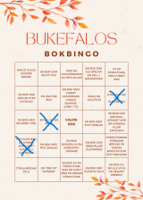 Bokbingo höstvinter 2023 -kryss3.png