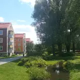 Rosta nästan mellan stad och landsbygd mitt i Örebro.webp