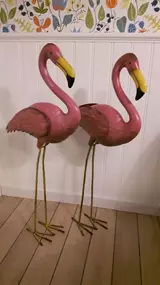 Flamingos.webp