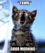 Yawn-Good-Morning.webp