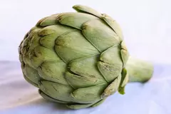 artichoke.webp