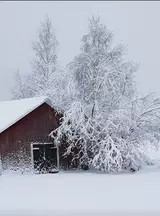 Lada i snö.webp