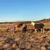 Ihopsläpp med Askja.webp