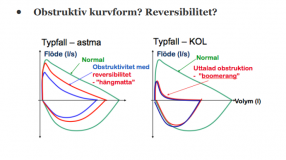 Astma_Kol.PNG